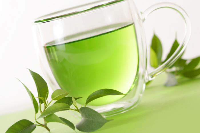 Green Tea: a drink for spiritual rejuvenation, not just health green-tea