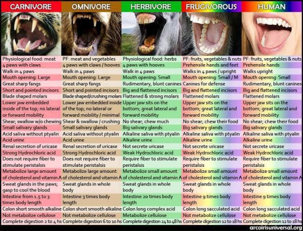 Nourishment dietarydifferences