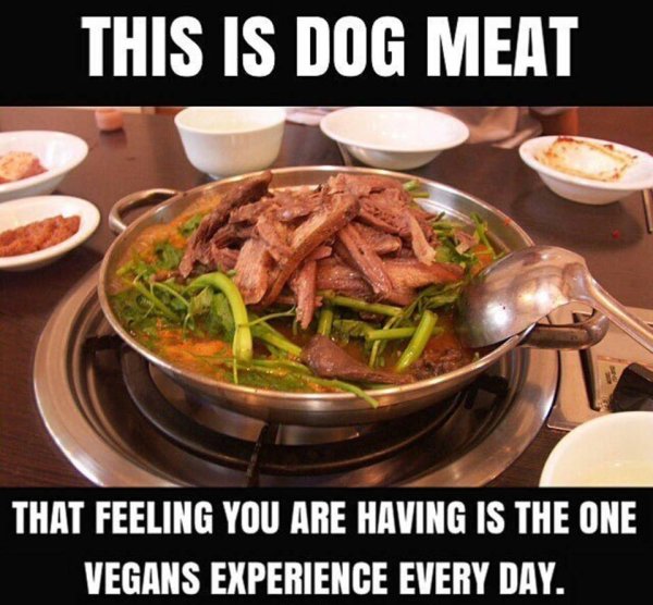 Paradox - Dog Meat paradox