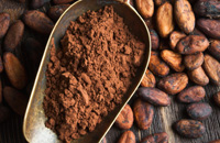 cacao_powder