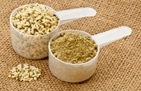 hemp_protein