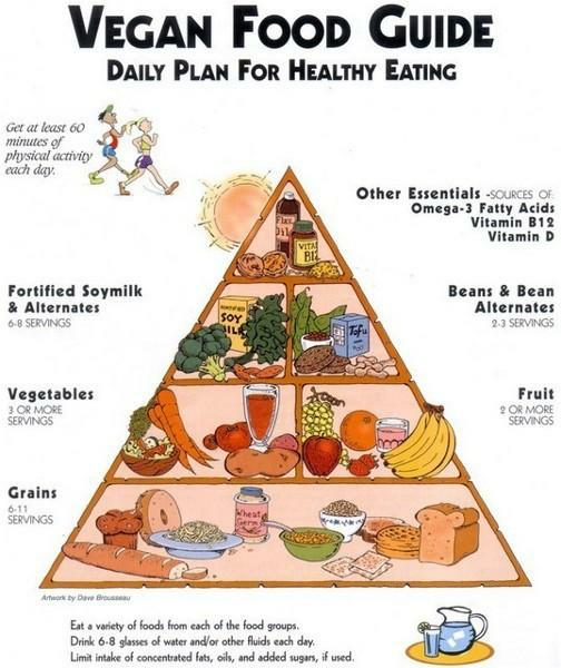 vegan food pyramid