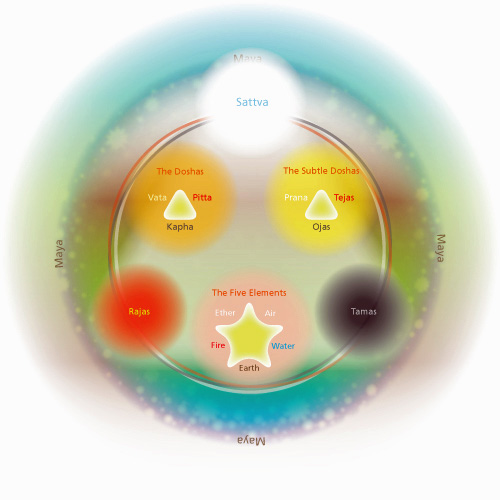 ayurveda_concepts