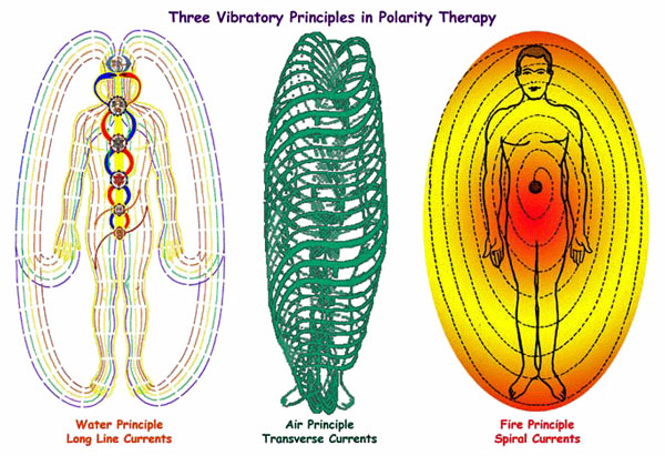 polarity_chart