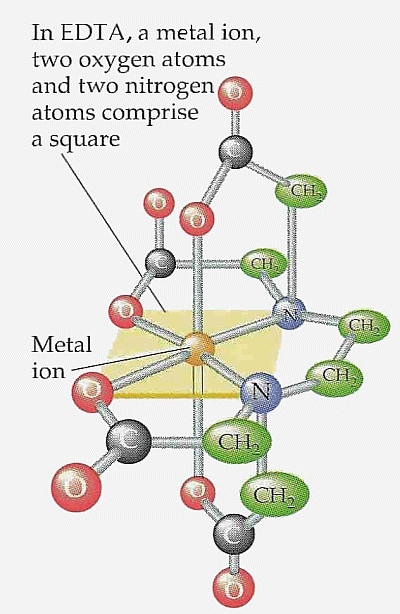 Chelation EDTA  3D Model