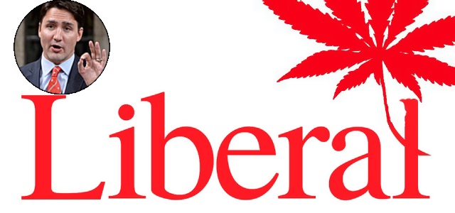 Canada to introduce legislation to decriminalize recreational cannabis cannabis/canada-liberal-marijuan