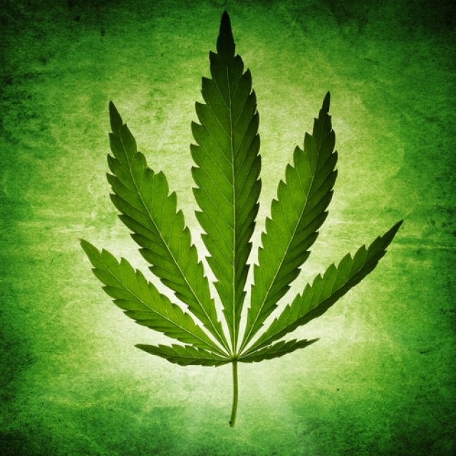 cannabis_leaf