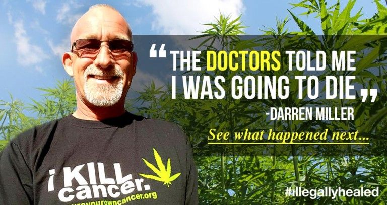 cannabis-healing