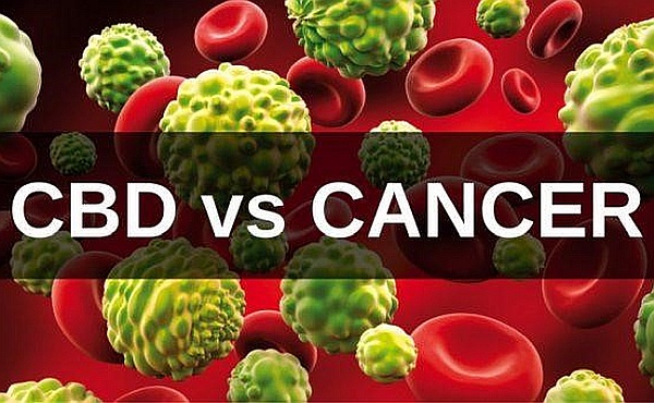 Could Reduce Cancer Symptoms Could Reduce Cancer Symptoms