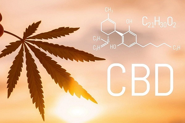 Potential Clinical Benefits of CBD-Rich Cannabis Extracts