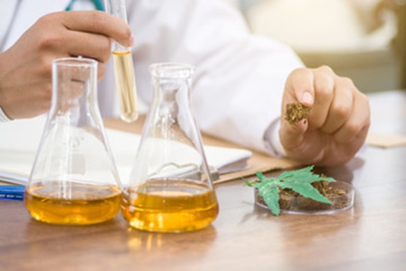 7 Fascinating Benefits of CBD Oil 7 Fascinating Benefits of CBD Oil