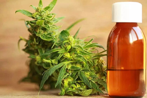 The Unique Benefits of CBD-Infused Terpene Oil 