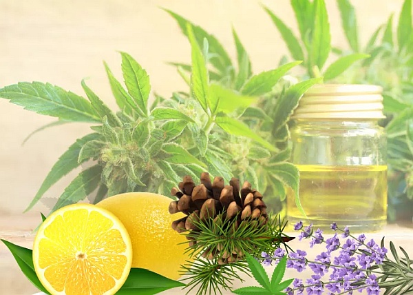 The Unique Benefits of CBD-Infused Terpene Oil 