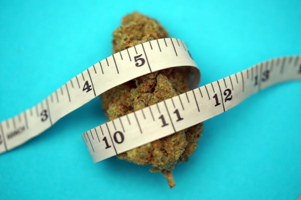 Smoking Weed & Weight Loss