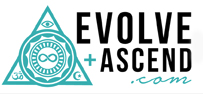 evlve logo