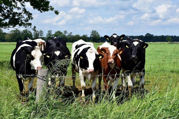 How Can Farmers Adapt to Climate Change Challenges? How Can Farmers Adapt to Climate Change Challenges?