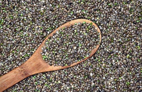The Benefits of Adding Hemp Seeds To Your Daily Diet
