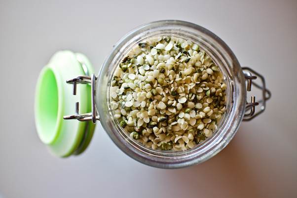 9 Healthy Benefits of Hemp Seeds 