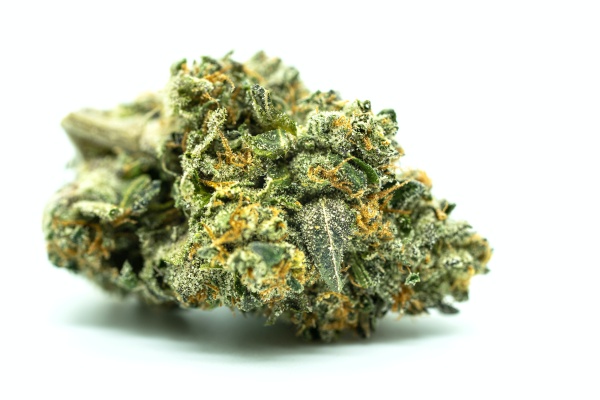 Why Should First-Timers Try Weed From Vancouver Weed Delivery Services Why Should First-Timers Try Weed From Vancouver Weed Delivery Services