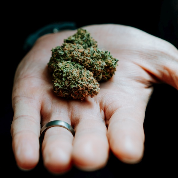 Why Should First-Timers Try Weed From Vancouver Weed Delivery Services Why Should First-Timers Try Weed From Vancouver Weed Delivery Services
