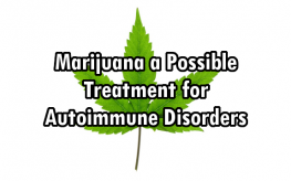 marijuana_leaf_cannabis_autoimmune