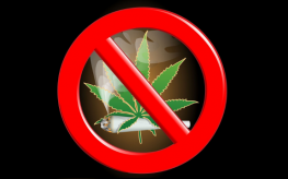 marijuana_myths