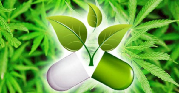 new-cannabis-capsule-effective-that-it-is-replacing-big-pharma-painkillers