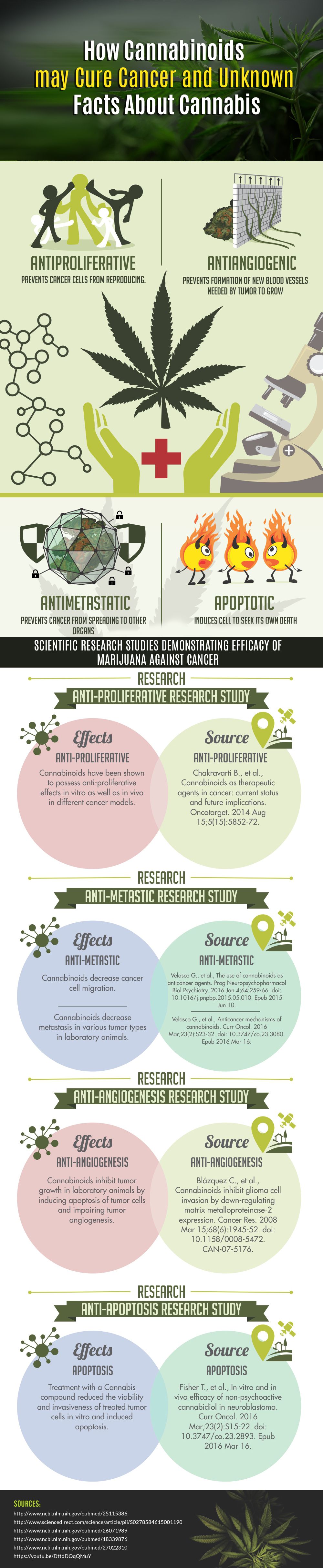 official_cannabis_infographic