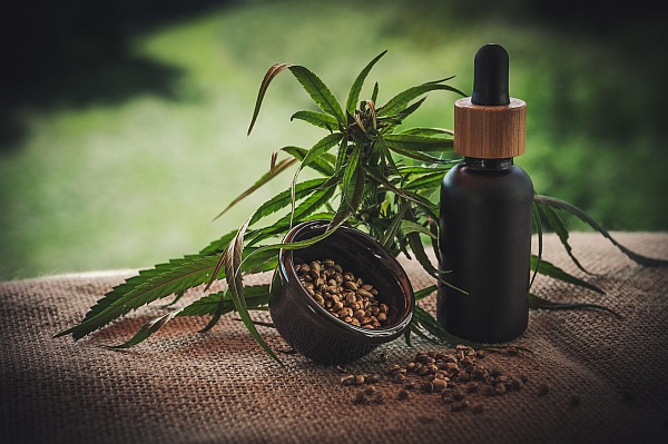 Most THC and CBD Oil Goes to Waste in Your Body