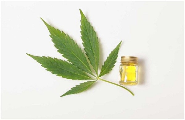 The 7 Main Benefits Of Using Hemp Oil