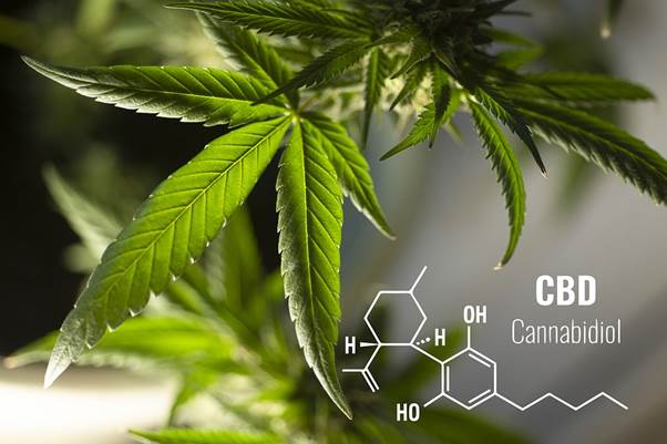 How To Use CBD For Inflammation And Recovery