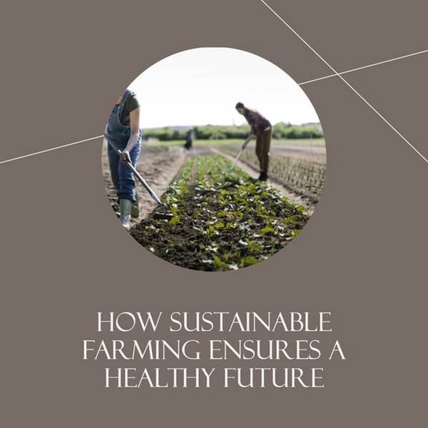 How Sustainable Farming Ensures a Healthy Future How Sustainable Farming Ensures a Healthy Future