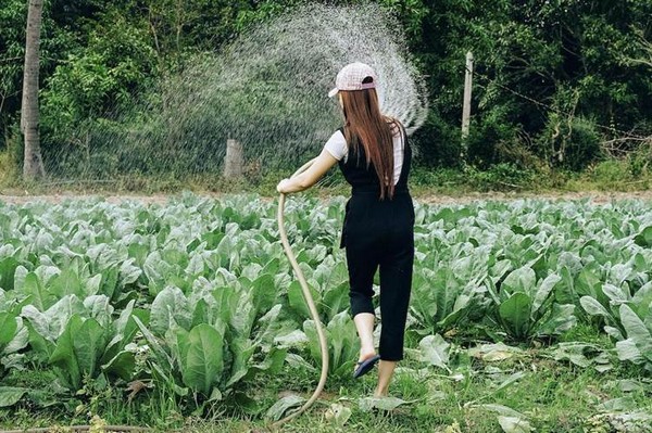 How Sustainable Farming Ensures a Healthy Future How Sustainable Farming Ensures a Healthy Future