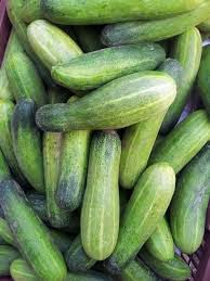 Cucumber cucumber