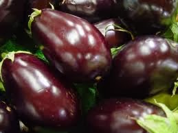 Eggplant eggplant