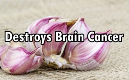 garlic-brain-cancer