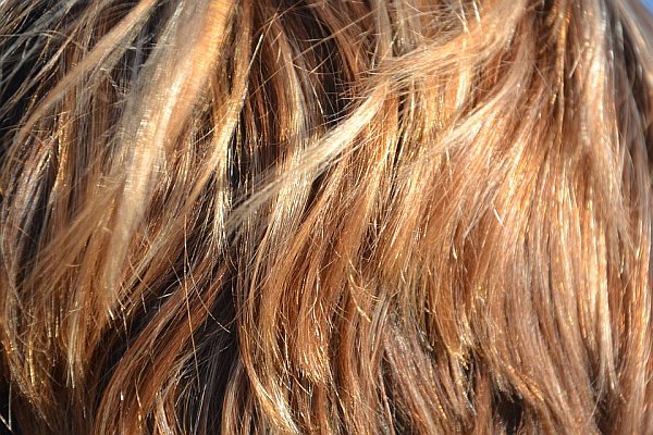 6 Best DIY Hair Masks To GROW HAIR FASTER & LONGER Naturally In 2 Months hair