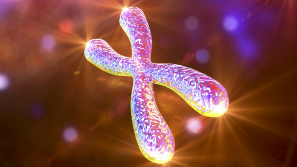 One Simple Step To Influence Your DNA higher vitamin d levels linked to longer telomeres
