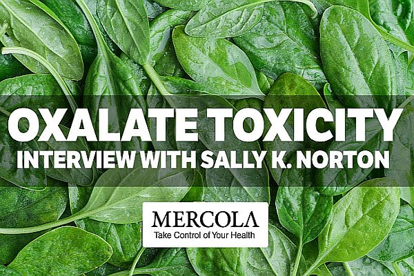 The Damaging Effects of Oxalates on the Human Body The Damaging Effects of Oxalates on the Human Body