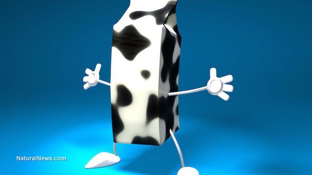 milk-carton-cow