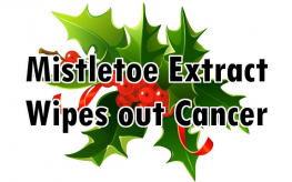 mistletoe_extract