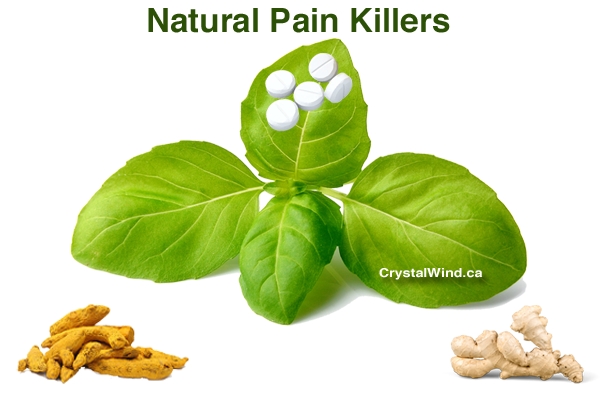 16 Of Nature’s Best Natural Pain Killers natural pain killer