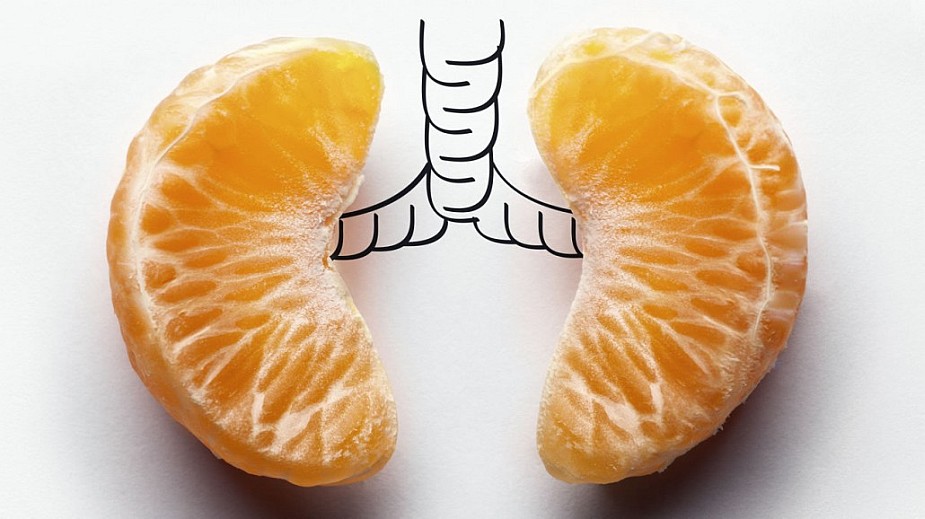 Orange Lungs orange-lungs