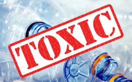 plastic_bottles-toxic