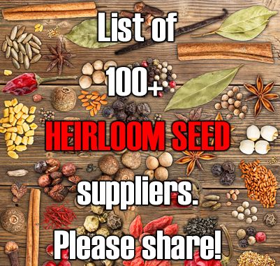 List of Heirloom Seed Companies list-heirloom-seed-companies