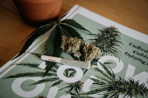 5 Ways Cannabis Supports Your Healthy and Active Lifestyle