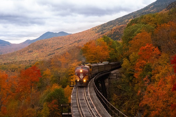 5 Benefits of Taking a Romantic Getaway with Your Partner 5 Green Ways to Travel Locally