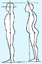 postural_integration_fig01