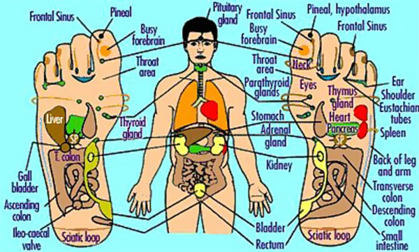 Reflexology Reflexology
