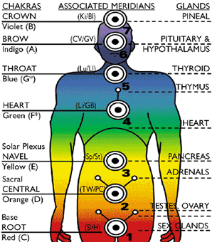 meridian_body